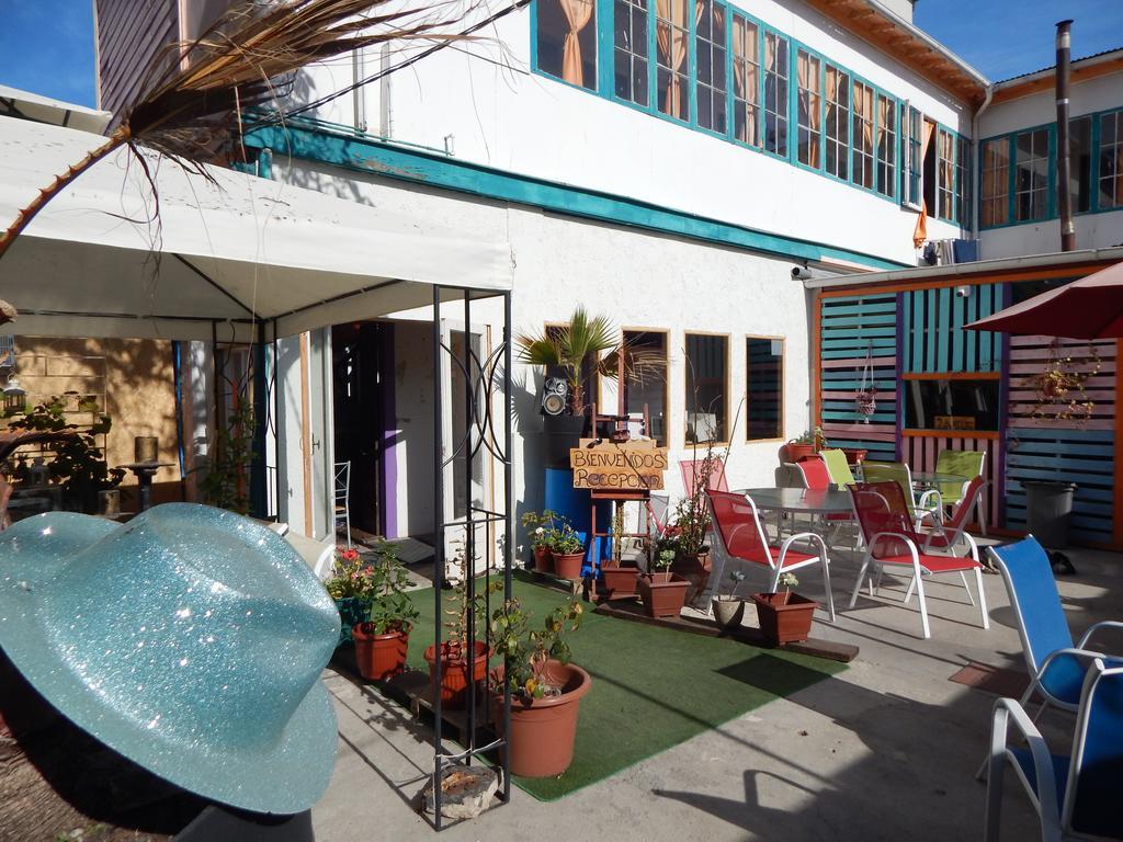 Street Garden Hostel Vina del Mar Ngoại thất bức ảnh