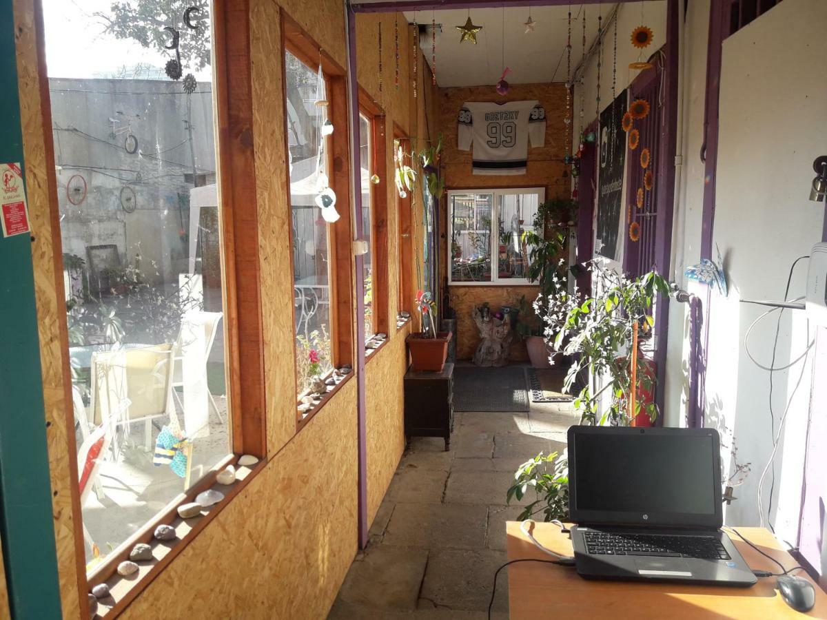 Street Garden Hostel Vina del Mar Ngoại thất bức ảnh