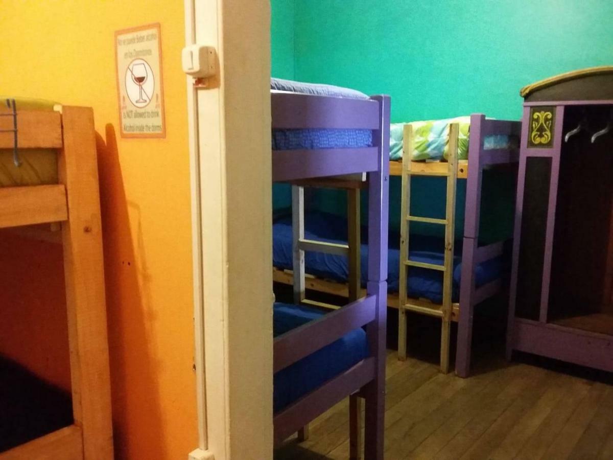Street Garden Hostel Vina del Mar Ngoại thất bức ảnh